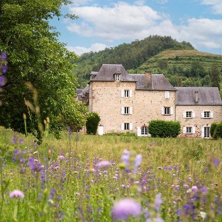 Marcillac-Vallon La Demeure Du Comte Bed & Breakfast エクステリア 写真