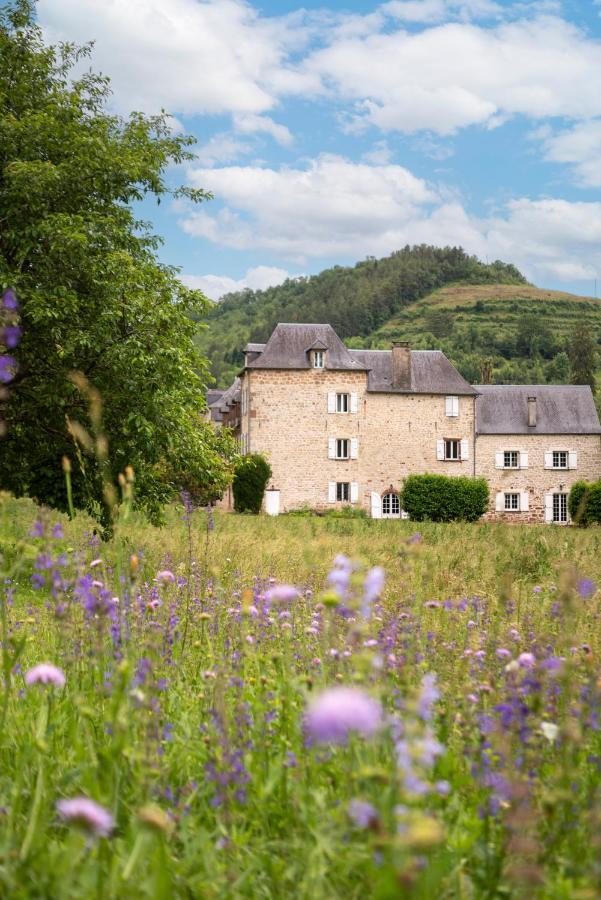 Marcillac-Vallon La Demeure Du Comte Bed & Breakfast エクステリア 写真