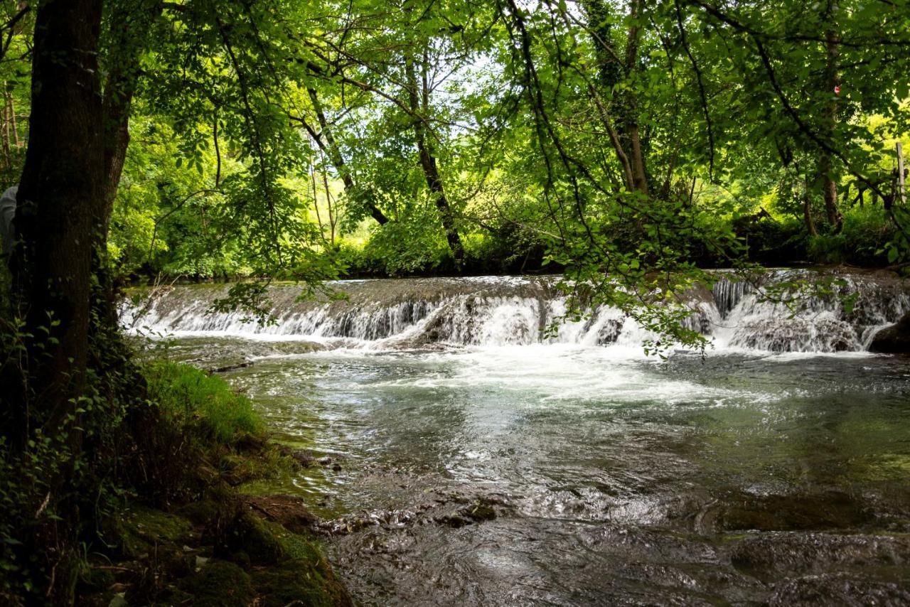 Marcillac-Vallon La Demeure Du Comte Bed & Breakfast エクステリア 写真