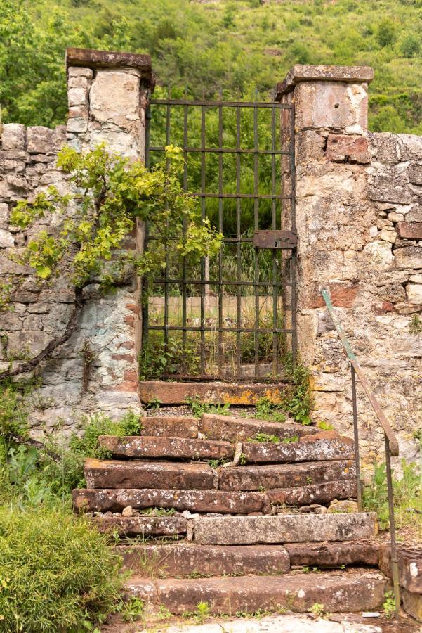 Marcillac-Vallon La Demeure Du Comte Bed & Breakfast エクステリア 写真