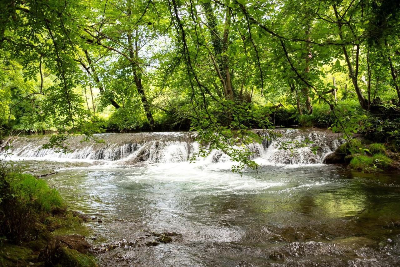 Marcillac-Vallon La Demeure Du Comte Bed & Breakfast エクステリア 写真